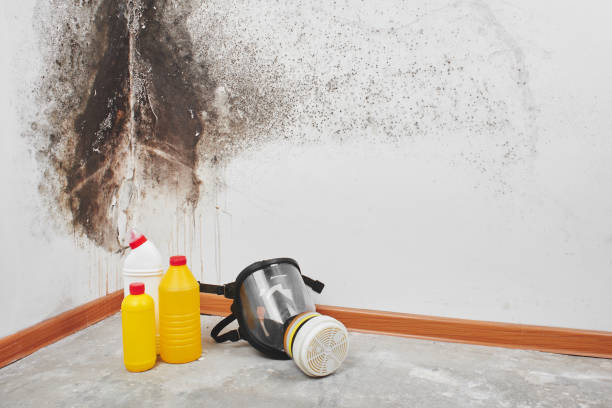 Best Commercial Mold Removal  in Lake Como, NJ