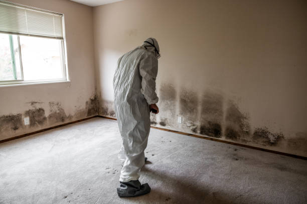 Best Certified Mold Removal  in Lake Como, NJ