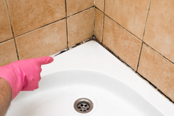 Best Home Mold Removal  in Lake Como, NJ